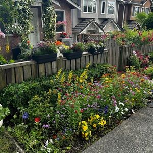 Meet your Posher, Mona